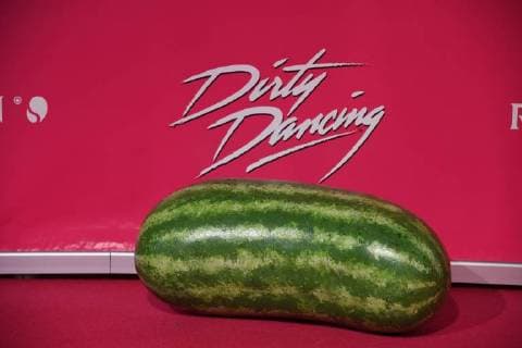 Eine Melone liegt auf den roten Teppich am 26.10.2017 in Köln zur Deutschlandpremiere des Musical Dirty Dancing.
