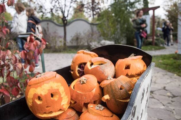 Halloween in Zagreb Zoo 28.10.2017., Zagreb - Pumpkins for animals in Zoo ahead of the Halloween.  DavorxPuklavec PIXSELL
