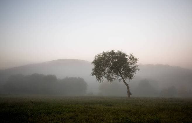 Herbstnebel im Taunus Nebel am Morges des 15.10.2017 bei Schmitten-Hunoldstal (Hochtaunuskreis). Schmitten Hessen Deutschland *** Autumn fog in Taunus Fog at Morges the 15 10 2017 at Schmitten Hochtaunuskreis Schmitten Hesse Germany