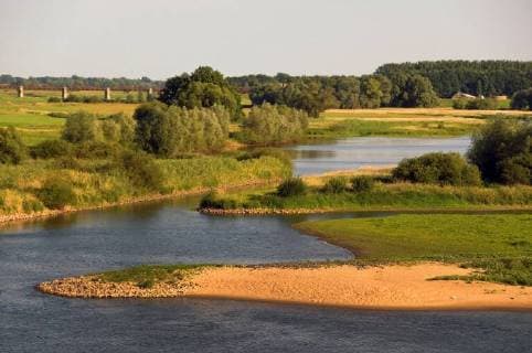 Elbtalaue bei Doemitz, Deutschland, Niedersachsen, Biosphaerenreservat Niedersaechsische Elbtalaue Elbe Valley Meadows near Doemitz, Germany, Lower Saxony, Biosphaerenreservat Niedersaechsische Elbtalaue BLWS466394 Copyright: xblickwinkel C.xKaiserx
