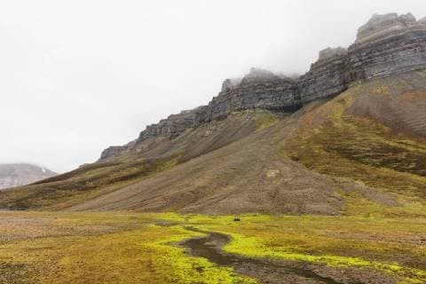 Skansen in Billefjorden, Spitsbergen, Svalbard, Arctic, Norway, Europe Copyright: ChristianxKober 733-7518