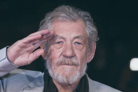 November 1, 2017 - Rome, Italy - Ian McKellen walks a red carpet for Ian McKellen: Playing The Part during the 12th Rome Film Fest at Auditorium Parco Della Musica on November 1, 2017 in Rome Rome Italy  - ZUMAn230 20171101_zaa_n230_343 Copyright: xLucaxCarlinox