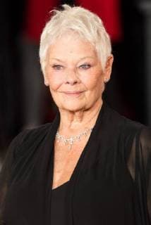 November 2, 2017 - London, London, UK - London, UK. JUDI DENCH attends the world film premiere of Murder On The Orient Express. London UK  - ZUMAl94_ 20171102_zaf_l94_091 Copyright: xRayxTangx