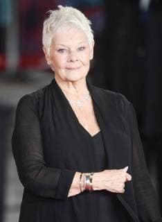 British actress Judi Dench attends the world premiere of Murder On The Orient Express at Royal Albert Hall in London on November 2, 2017.  LON20171102121 RUNExHELLESTAD