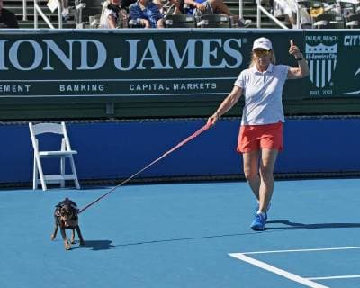 DELRAY BEACH FL NOVEMBER 04 Martina Navratilova attends the Chris Evert Raymond James Pro Celebrity Tennis Classic at the Delray Beach Tennis Center on November 4 2017 in Delray Beach Florida Copyright: xmpi04x