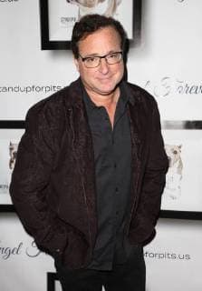 November 5, 2017 - Hollywood, California, U.S. - Josh Wolf05 November 2017 - Hollywood, California - Bob Saget. 7th Annual Stand Up For Pits held at Avalon Hollywood. Photo Credit: AdMedia Hollywood U.S. - ZUMAa123 20171105_zaa_a123_507 Copyright: xF.xSadoux