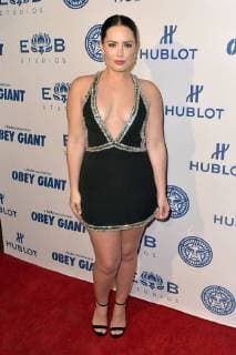 Beau Dunn bei der Premeire der Hulu Dokumentation Obey Giant im Theatre at Ace Hotel. Los Angeles, 07.11.2017