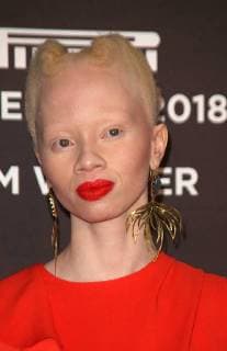 November 10, 2017 - New York, N.Y, USA - THANDO HOPA attends the Pirelli 2018 Calendar by Tim Walker Event and Press Conference.The Pierre Hotel, NYC.November 10, 2017.Photos by , Globe Photos Inc. New York USA - ZUMAms4_ 20171110_zaa_ms4_018 Copyright: xSoniaxMoskowitzx