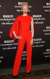 November 10, 2017 - New York, N.Y, USA - THANDO HOPA attends the Pirelli 2018 Calendar by Tim Walker Event and Press Conference.The Pierre Hotel, NYC.November 10, 2017.Photos by , Globe Photos Inc. New York USA - ZUMAms4_ 20171110_zaa_ms4_019 Copyright: xSoniaxMoskowitzx