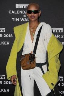Pirelli Calendar by Tim Walker photocall Simone Thompson (Slick Woods) New York United States  560473