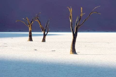 tote Bäume im Deadvlei, Namib, Namibia - dead trees in deadvlei namib, namibia *** Deaths Trees in Deadvlei Namib Namibia Dead Trees in Deadvlei Namib Namibia  1076400537