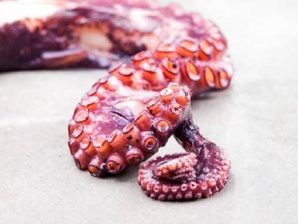 IMAGO Creative, Unsere Erde, Umweltverträgliche Herausforderungen des 21. Jahrhunderts, Überfischung gekochte Tintenfisch-Tentakeln - cooked tentacle of an octopus *** cooked Squid Tentacles cooked tentacle of to Octopus  1028900566