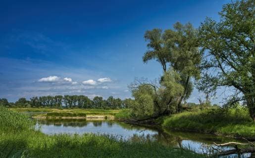 Die Oder im Brandenburger Land - The River Oder in Brandenburg *** the Or in Brandenburg Country The River Or in Brandenburg  1020910938
