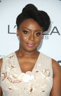 November 13, 2017 - New York, N.Y, USA - CHIMAMANDA NGOZI ADICHIE attends the Glamour 2017 Women of the Year Awards..Kings Theater .Brooklyn, NY.November 13, 2017.Photos by , Globe Photos Inc. New York USA - ZUMAms4_ 20171113_zaa_ms4_119 Copyright: xSoniaxMoskowitzx