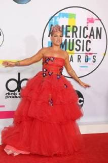 LOS ANGELES - NOV 19: Pink at the American Music Awards 2017 at Microsoft Theater on November 19, 2017 in Los Angeles, CA  Copyright: xKathyxHutchinsx xIPAx xHutchinsxPhotox