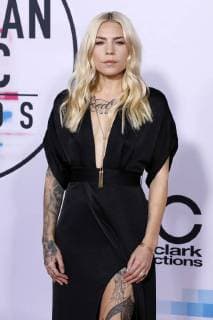Skylar Grey bei der Verleihung der 44. American Music Awards im Microsoft Theatre. Los Angeles, 19.11.2017