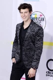 Shawn Mendes bei der Verleihung der 44. American Music Awards im Microsoft Theatre. Los Angeles, 19.11.2017
