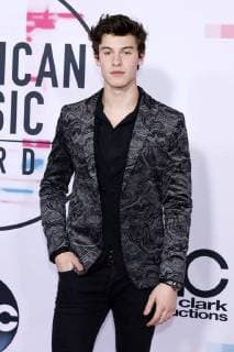 Shawn Mendes bei der Verleihung der 44. American Music Awards im Microsoft Theatre. Los Angeles, 19.11.2017