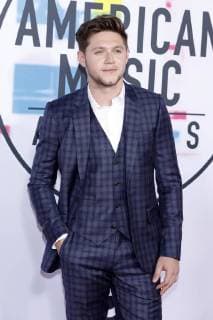 Niall Horan bei der Verleihung der 44. American Music Awards im Microsoft Theatre. Los Angeles, 19.11.2017