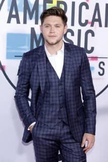 Niall Horan bei der Verleihung der 44. American Music Awards im Microsoft Theatre. Los Angeles, 19.11.2017