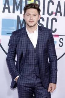 Niall Horan bei der Verleihung der 44. American Music Awards im Microsoft Theatre. Los Angeles, 19.11.2017