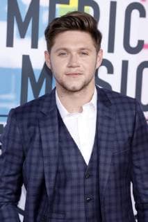 Niall Horan bei der Verleihung der 44. American Music Awards im Microsoft Theatre. Los Angeles, 19.11.2017