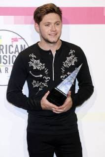 Niall Horan bei der Verleihung der 44. American Music Awards im Microsoft Theatre. Los Angeles, 19.11.2017