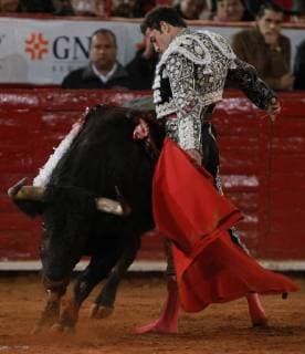 The Mexican bullfighter Arturo Saldivar deals with his first bull of the afternoon Bienvenido of 490 Kg during the second run of the Great Season 2017-2018, in Mexico City, Mexico, 26 November 2017. 2017-2018 Big Season of bulls, in Mexico !ACHTUNG: NUR REDAKTIONELLE NUTZUNG!  Copyright: xMarioxGuzmanx MEX02 20171127-636473603174164517