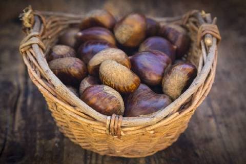 Roasted sweet chestnuts in a basket  LVF06358