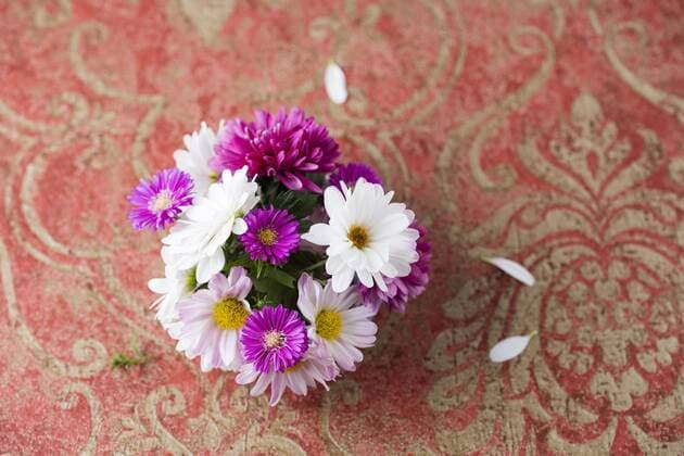Bunch of asters and chrysanthemums  MYF01962