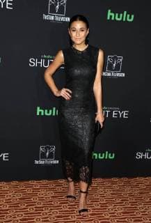HOLLYWOOD, CA - NOVEMBER 28: Emmanuelle Chriqui, at Premiere Of Hulu s Shut Eye Season 2 at The Magic Castle in Hollywood, California on November 28, 2017. Copyright: xFayexSadoux