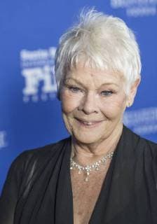 November 30, 2017 - Santa Barbara, California, USA - Academy Award winner DAME JUDI DENCH on the red carpet before being honored with the 12th annual Kirk Douglas Award for Excellence in Film. The award goes to a lifelong contributor to cinema through work in front of the camera, behind, or both. Past honorees include Warren Beatty, Jane Fonda, Jessica Lange, Forest Whitaker, Robert DeNiro, Michael Douglas, Harrison Ford, Quentin Tarantino, Ed Harris, and John Travolta. Proceeds from the black-tie event support the Santa Barbara International Film Festivals education programs. Santa Barbara USA - ZUMAh13_ 20171130_zaf_h13_008 Copyright: xPJxHellerx