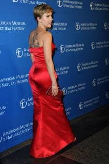 The Museum Of Natural History s 2017 Museum Gala at American Museum of Natural History on November 30, 2017 in New York City. Scarlett Johansson New York United States  563663