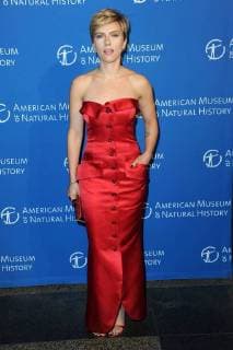 Bilder des Tages The Museum Of Natural History s 2017 Museum Gala at American Museum of Natural History on November 30, 2017 in New York City. Scarlett Johansson New York United States  563663