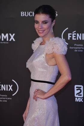 December 6, 2017 - Mexico City, Mexico, Mexico - Maribel Verdu is seen arriving at red carpet of Fenix Film Awards on December 06, 2017 in Mexico City, Mexico Mexico City Mexico  - ZUMAn230 20171206_zaa_n230_412 Copyright: xCarlosxTischlerx