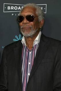 LOS ANGELES - DEC 7: Morgan Freeman at the Just Getting Started Premiere at ArcLight Hollywood on December 7, 2017 in Los Angeles, CA  Copyright: xKathyxHutchinsx xIPAx xHutchinsxPhotox
