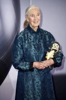 Jane Goodall bei der Verleihung des 10. Deutschen Nachhaltigkeitspreises 2017 im Maritim Hotel. Düsseldorf, 08.12.2017