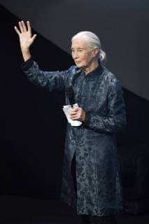 Jane Goodall bei der Verleihung des 10. Deutschen Nachhaltigkeitspreises 2017 im Maritim Hotel. Düsseldorf, 08.12.2017