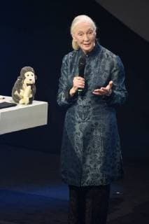 Bilder des Tages Jane Goodall bei der Verleihung des 10. Deutschen Nachhaltigkeitspreises 2017 im Maritim Hotel. Düsseldorf, 08.12.2017