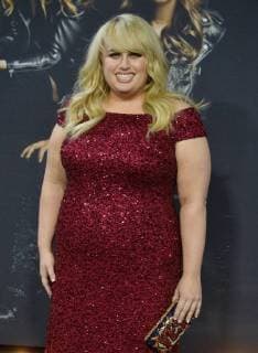 Cast member Rebel Wilson attends the premier eof the motion picture musical comedy Pitch Perfect 3 premiere at the Dolby Theatre in the Hollywood section of Los Angeles on December 12, 2017. Storyline: Following their win at the world championship, the now separated Bellas reunite for one last singing competition at an overseas USO tour, but face a group who uses both instruments and voices.  LAP2017121239 JIMxRUYMEN