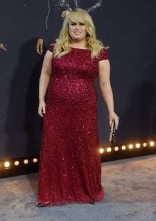 Cast member Rebel Wilson attends the premiere of the motion picture musical comedy Pitch Perfect 3 premiere at the Dolby Theatre in the Hollywood section of Los Angeles on December 12, 2017. Storyline: Following their win at the world championship, the now separated Bellas reunite for one last singing competition at an overseas USO tour, but face a group who uses both instruments and voices.  LAP2017121240 JIMxRUYMEN