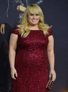 Cast member Rebel Wilson attends the premiere of the motion picture musical comedy Pitch Perfect 3 premiere at the Dolby Theatre in the Hollywood section of Los Angeles on December 12, 2017. Storyline: Following their win at the world championship, the now separated Bellas reunite for one last singing competition at an overseas USO tour, but face a group who uses both instruments and voices.  LAP2017121241 JIMxRUYMEN