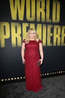 HOLLYWOOD, CA - DECEMBER 12: Rebel Wilson, at Premiere Of Universal Pictures Pitch Perfect 3 at The Dolby Theatre in Hollywood, California on December 12, 2017. Copyright: xFayexSadoux