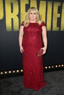 HOLLYWOOD, CA - DECEMBER 12: Rebel Wilson, at Premiere Of Universal Pictures Pitch Perfect 3 at The Dolby Theatre in Hollywood, California on December 12, 2017. Copyright: xFayexSadoux