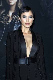 LOS ANGELES - DEC 12: Andy Allo at the Pitch Perfect 3 Premiere at the Dolby Theater on December 12, 2017 in Los Angeles, CA  Copyright: xHPAx xIPAx xHutchinsxPhotox
