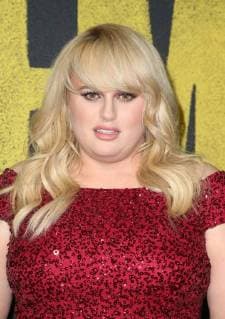 HOLLYWOOD, CA - DECEMBER 12: Rebel Wilson, at Premiere Of Universal Pictures Pitch Perfect 3 at The Dolby Theatre in Hollywood, California on December 12, 2017. Copyright: xFayexSadoux
