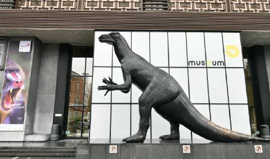 Illustration picture shows the skeleton of dinosaur at the Museum of Natural Sciences (Museum voor Natuurwetenschappen - Musee des Sciences naturelles) in Brussels, Thursday 14 December 2017.  ERICxLALMAND 05218436