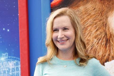 Angela Kinsey at the Premiere of Warner Bros Paddington 2 held at the Regency Village Theatre in Westwood, CA, January 6, 2018. Photo by Joseph Martinez PictureLux Los Angeles CA USA  Copyright: xJosephxMartinezx 33506_055JM