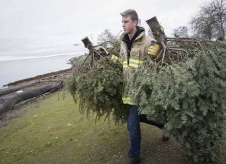 (180107) -- RICHMOND, Jan. 7, 2018 -- A firefighter carries the trees for recycling during the annual Christmas tree chipping event in Richmond, Canada, Jan. 6, 2018. Collected trees will be chipped and recycled for turning them into resources. ) (zcc) CANADA-RICHMOND-CHRISTMAS TREE-CHIPPING LiangxSen 