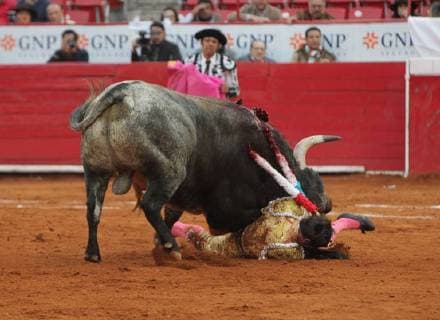 Mexican bullfighter Juan Pablo Llaguno is charged by his first bull Ilusionista with 557 Kg, during the eight corrida of the Temporada Grande in Mexico City, Mexico, 07 January 2018. TEMPORADA GRANDE IN MEXICO CITY !ACHTUNG: NUR REDAKTIONELLE NUTZUNG!  Copyright: xMarioxGuzmánx MEX14 20180108-636509801499912049